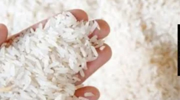 تراجع أسعار الأرز في المنيا تحت رقابة التموين وحماية المستهلك